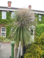 /album/inspiracje1/a1-14-jpg1/